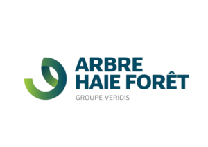 Arbre Haie Forêt